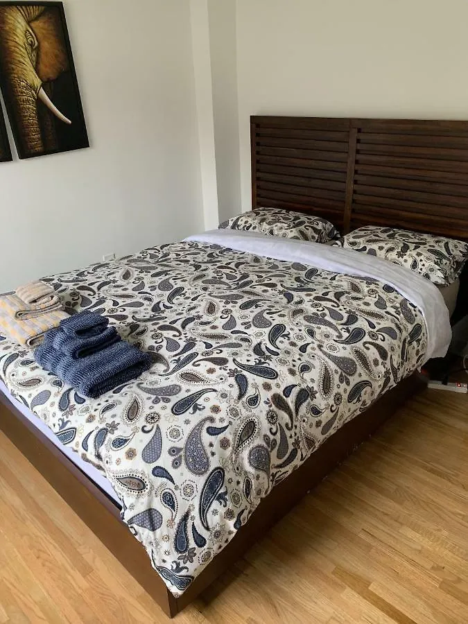 Sunny Apartment In Chelsea 纽约 美国