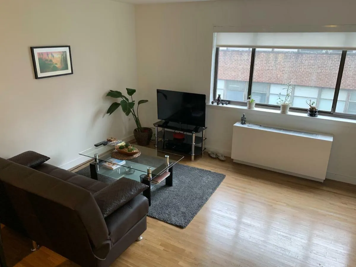 Sunny Apartment In Chelsea 纽约 美国